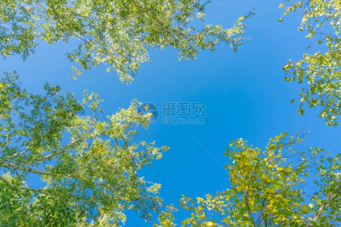 从地面到天空——小鹏飞行汽车成功完成首次跨城试飞壮举