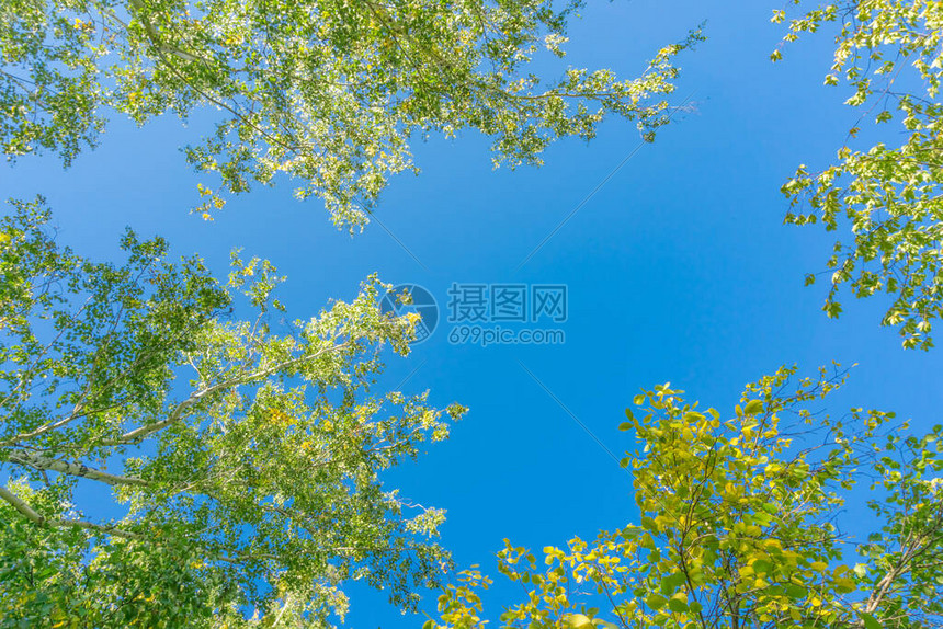 从地面到天空——小鹏飞行汽车成功完成首次跨城试飞壮举