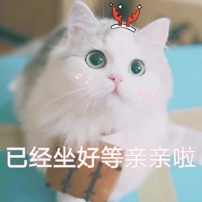 撒娇or伤害