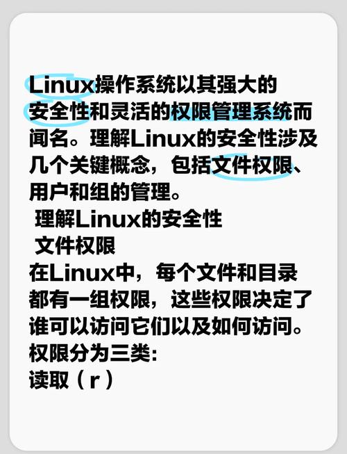 深入解析域名注册与主机选购:全面攻略