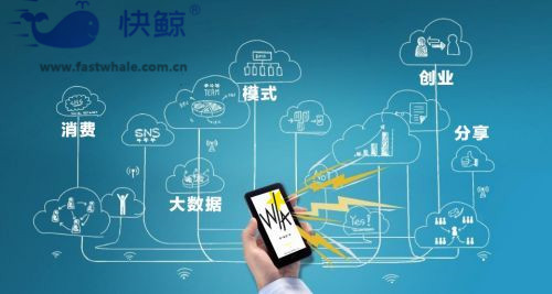 从概念到实践的全面剖析