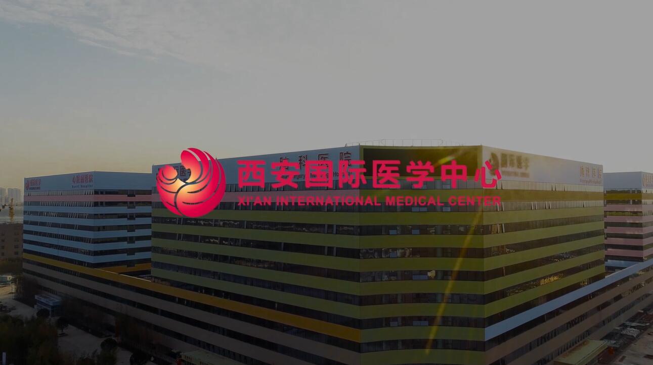 国际医学2025年脊髓损伤间充质干细胞移植研究进入I期临床试验阶段