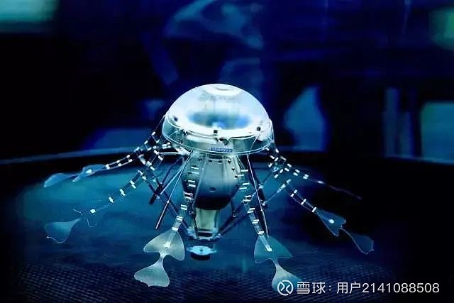 仿生学科技:探索自然界智慧对工程领域的深远影响