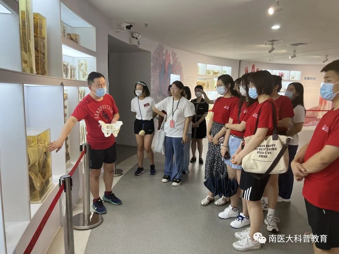 探索记忆奥秘：脑科学解码记忆存储与提取的关键环节