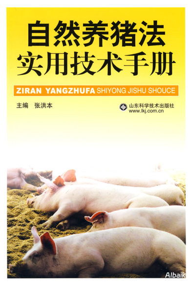 实用指南：如何通过5种方式实现内容复用最大化