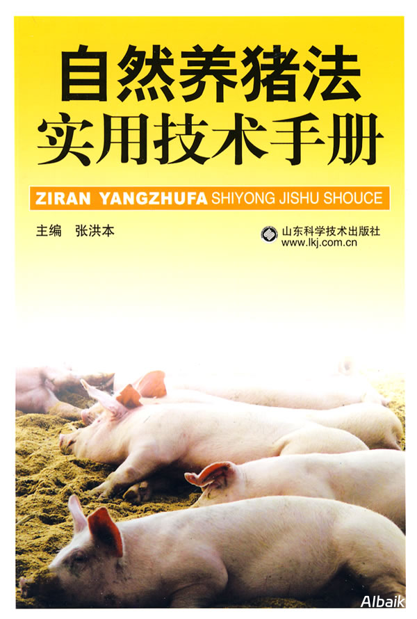 实用指南