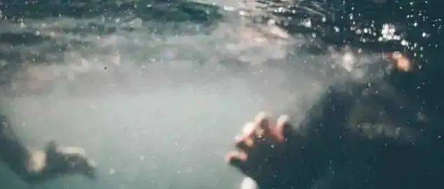 一起令人痛心的老虎袭人事件:动物园管理需加强