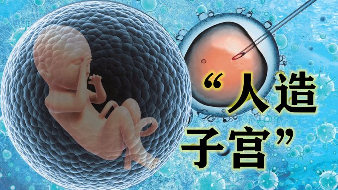 人造子宫研究迎来新曙光,同时面临严峻的伦理考验