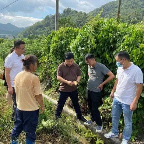 精准种植迎来革命性突破：农业无人机在现代农业中的应用与变革